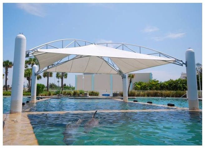 مظلات مسابح الرياض